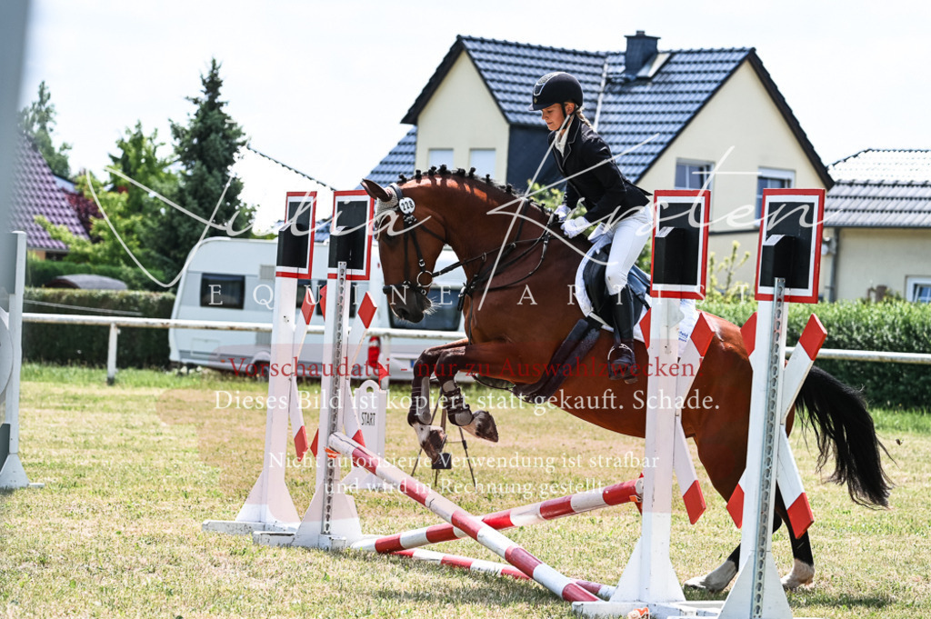 DSC_9562 | Pferde- und Turnierfotografie in Westsachsen. Pferdeportraits, Auftragszeichnungen und intuitive Kunst.