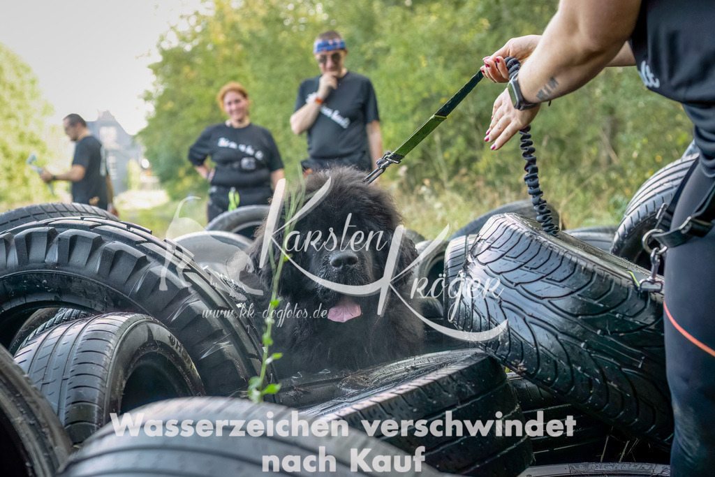 1045_ZZ90366-Bearbeitet | kk-dogfotos