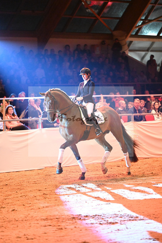 DSP Va Bene_Wadenspanner_1234120 | hf-fotografie - Realisiert mit Pictrs.com