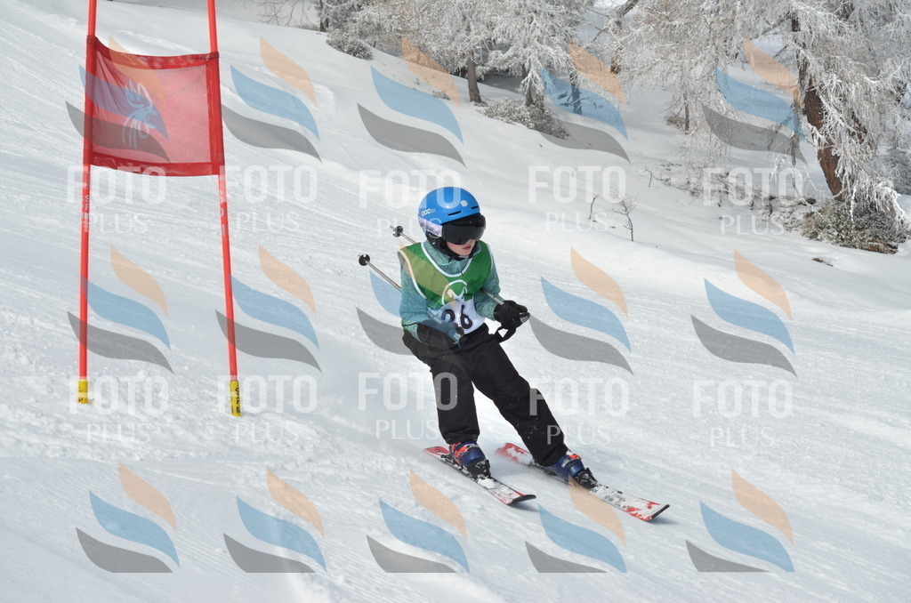 D8616 | holidayphoto