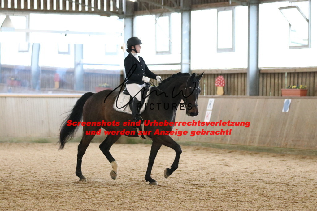 IMG_6473 | lmwpictures - Realisiert mit Pictrs.com