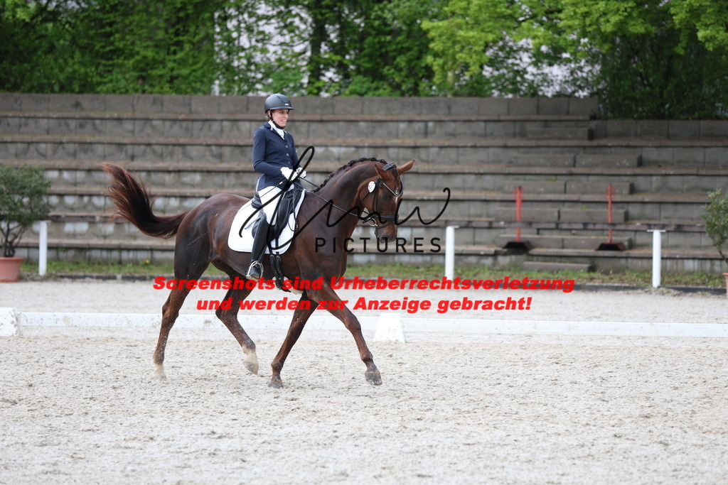 A40A9419 | lmwpictures - Realisiert mit Pictrs.com