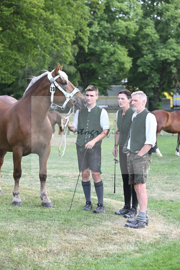 Kat-Nr. 19 Madrid_Bachmair_20231170 | hf-fotografie - Realisiert mit Pictrs.com