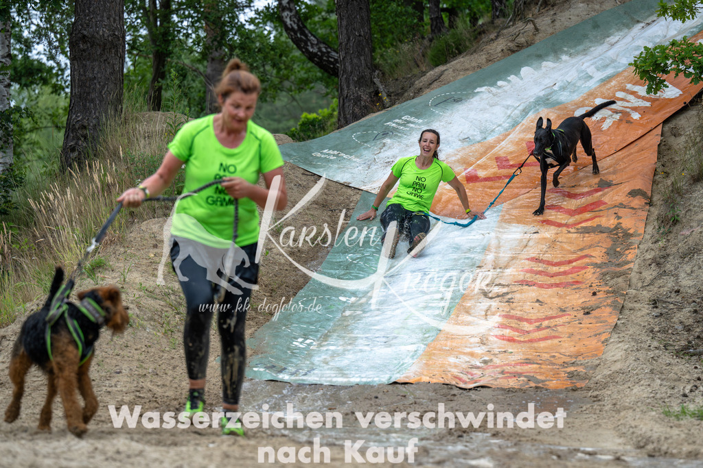 0954_ZZ91701-Verbessert-RR | kk-dogfotos