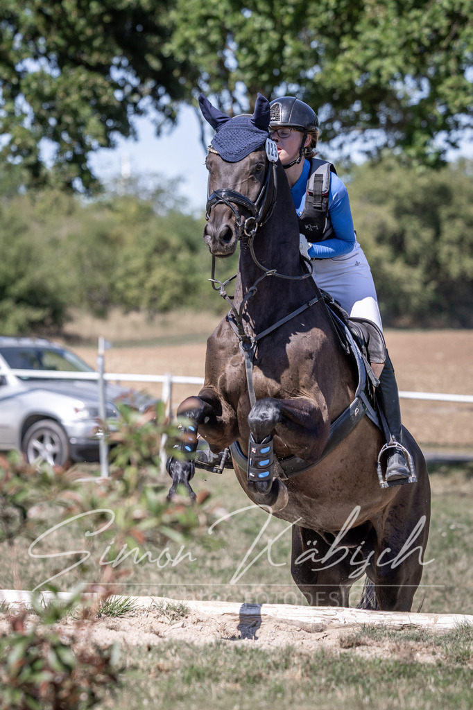 20260906-_3LI4133 | Tierfotografie Pferde, Hunde, Katzen, Haustiere.
Turnierfotografie Reitturniere, Reiten, Springreiten, Dressur in Hanau, dem Main-Kinzig-Kreis und dem Rhein-Main- Gebiet um Frankfurt