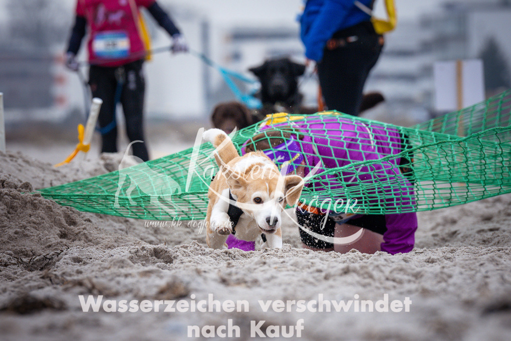 1215_ZZ93009 | kk-dogfotos