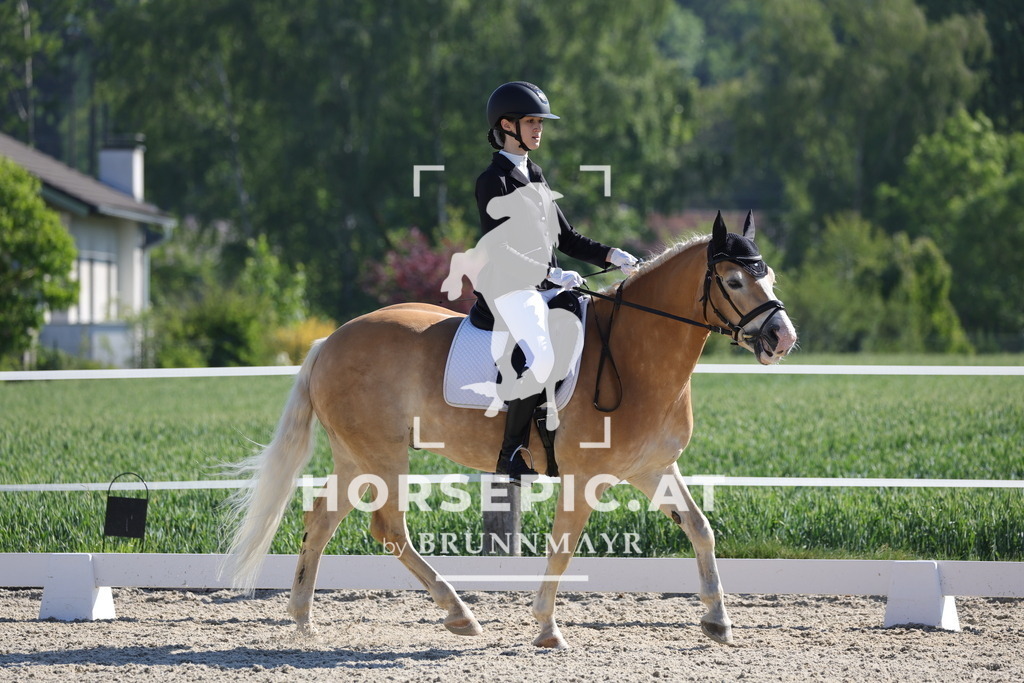 0P6A7627 | Willkommen bei Brunnmayr - Design & Fotografie – Ihrem Spezialisten für Reitturniere und Pferdeveranstaltungen in Oberösterreich, Salzburg und Bayern! Seit über 17 Jahren sind wir leidenschaftlich dabei.