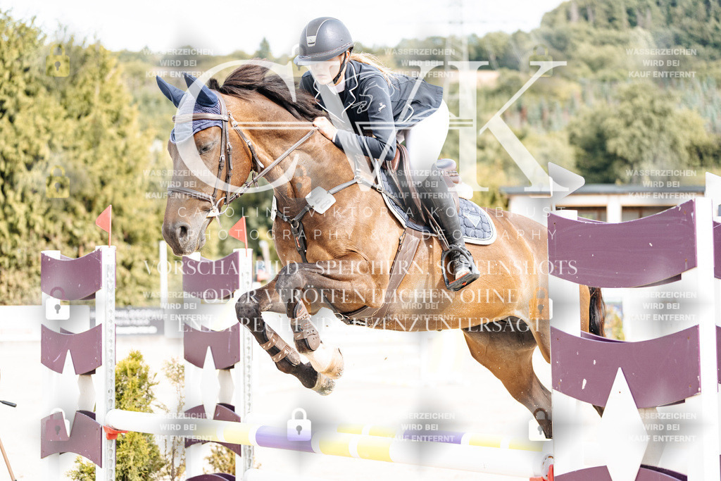 CK902197 | Turnierfotografie Pferdefotografie Trier Rheinland-Pfalz Pferdesport Reitsport Tierfotografie Sportfotografie Pferdevideo Pferdevideografie Equestrianvideography equestrianphotography  - Realisiert mit Pictrs.com
