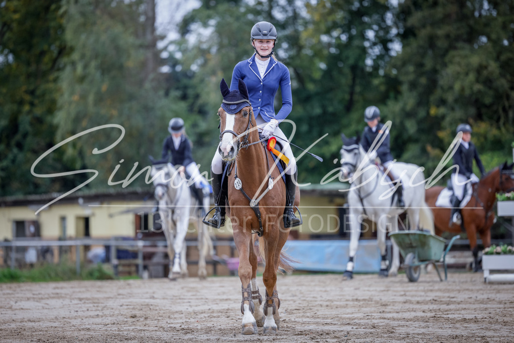 20251012-_3LI3144 | Tierfotografie Pferde, Hunde, Katzen, Haustiere.
Turnierfotografie Reitturniere, Reiten, Springreiten, Dressur in Hanau, dem Main-Kinzig-Kreis und dem Rhein-Main- Gebiet um Frankfurt