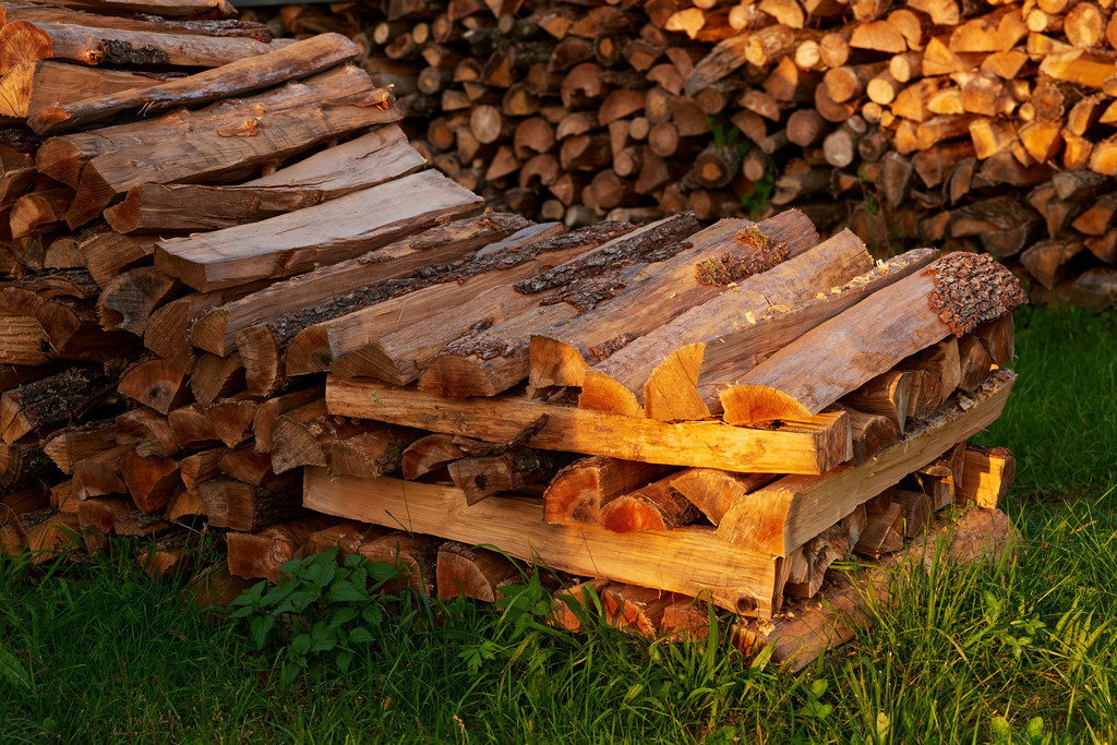 Brennholzlager in der Wiese im Abendlicht | Austria - September 10, 2018: Brennholzlager in der Wiese im Abendlicht. - Realisiert mit Pictrs.com