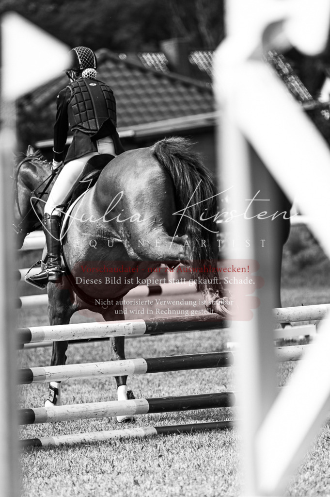 DSC_9000 | Pferde- und Turnierfotografie in Westsachsen. Pferdeportraits, Auftragszeichnungen und intuitive Kunst.