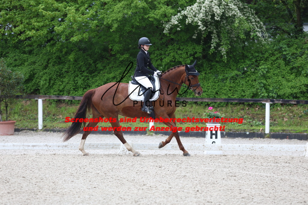 A40A8698 | lmwpictures - Realisiert mit Pictrs.com