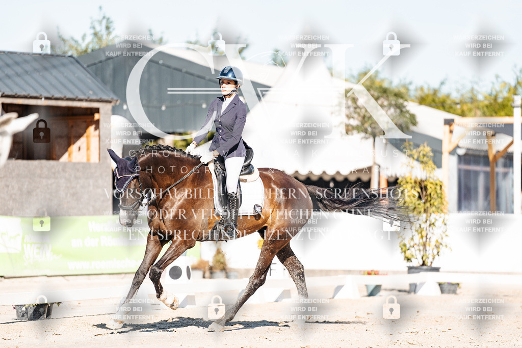 CK907446 | Turnierfotografie Pferdefotografie Trier Rheinland-Pfalz Pferdesport Reitsport Tierfotografie Sportfotografie Pferdevideo Pferdevideografie Equestrianvideography equestrianphotography  - Realisiert mit Pictrs.com