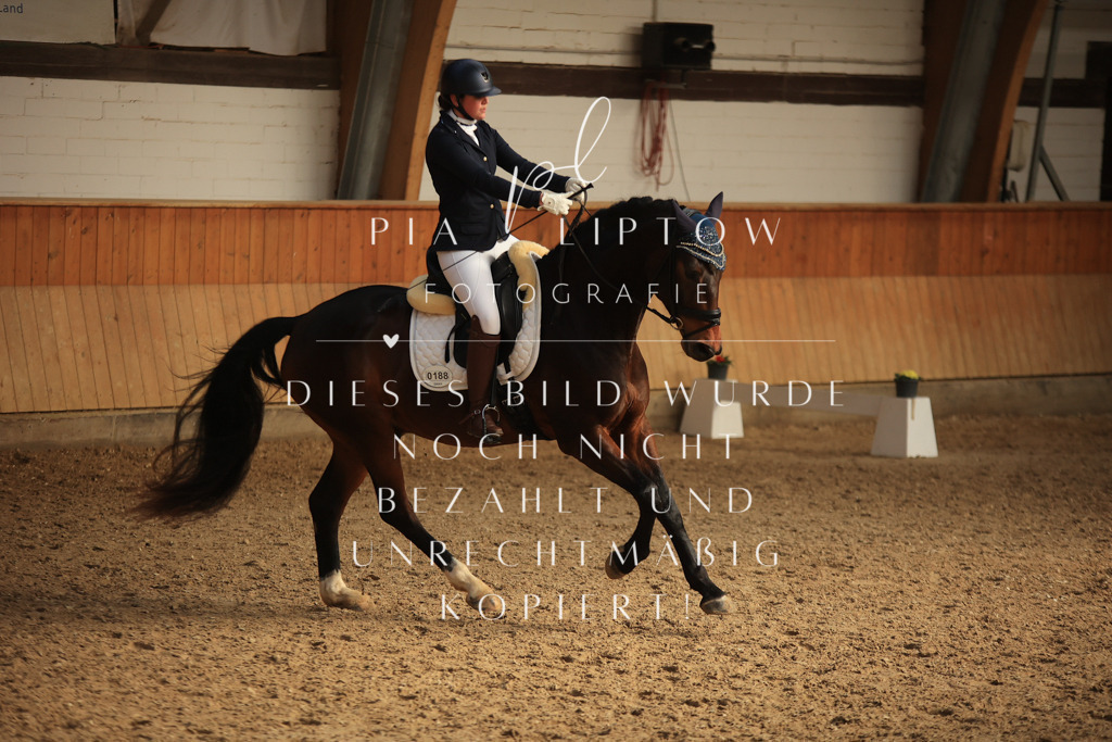 IMGT4841 | pl-fotografie