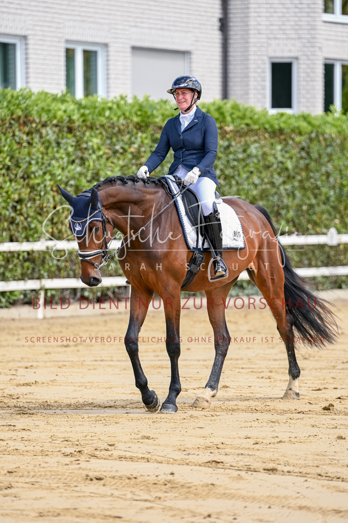 Schugtsche-Aluta25-48.Reitpferfdeprf.-57 | Schugtsche Fotografie - Realisiert mit Pictrs.com