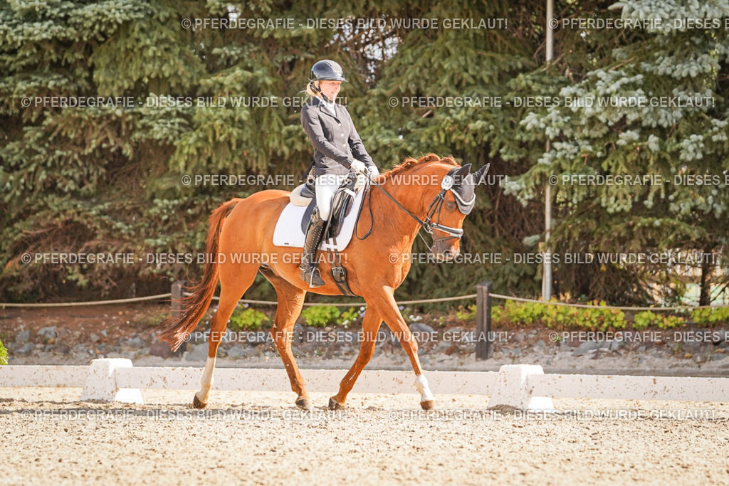 DSC00785 | Pferdegrafie