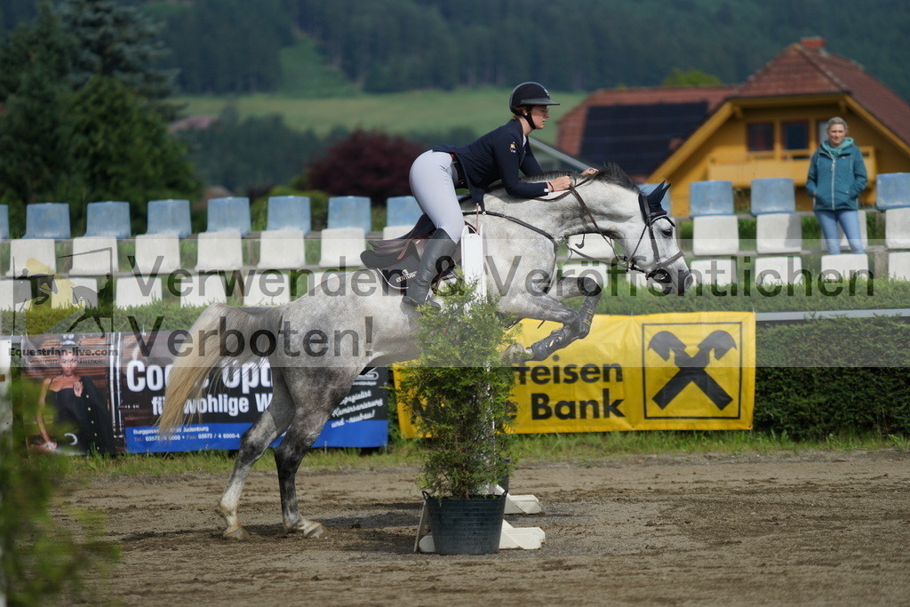 DSC04639 | equestrian-live-com