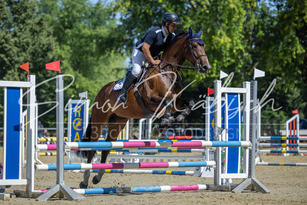 20260704-_3LI7623 | Tierfotografie Pferde, Hunde, Katzen, Haustiere.
Turnierfotografie Reitturniere, Reiten, Springreiten, Dressur in Hanau, dem Main-Kinzig-Kreis und dem Rhein-Main- Gebiet um Frankfurt