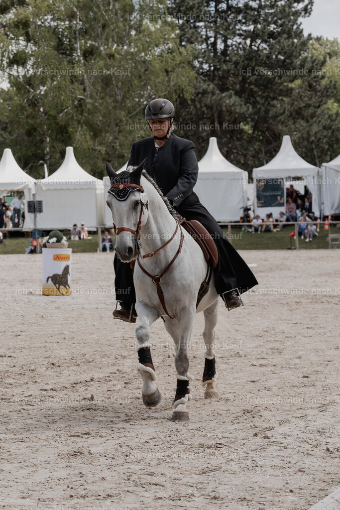 WE_ST_Stoib_321_PI2025_1135 | Pferd International München 2025