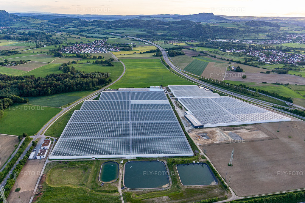 Luftbild: Reichenauer Gärtnersiedlung in Beuren an der Aach im Ortsteil Beuren an der Aach in Singen im Bundesland Baden-Württemberg in Deutschland. – Foto: IMG_131778.jpg vom 25.05.2022 durch Werner Riehm/FLY-FOTO.de – Auflösung des Originals: 5123 x 3415 px – Reichenauer Gärtnersiedlung - Singen