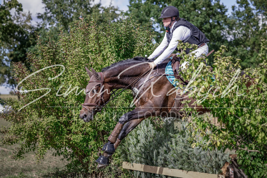 20250906-_3LI6839 | Tierfotografie Pferde, Hunde, Katzen, Haustiere.
Turnierfotografie Reitturniere, Reiten, Springreiten, Dressur in Hanau, dem Main-Kinzig-Kreis und dem Rhein-Main- Gebiet um Frankfurt