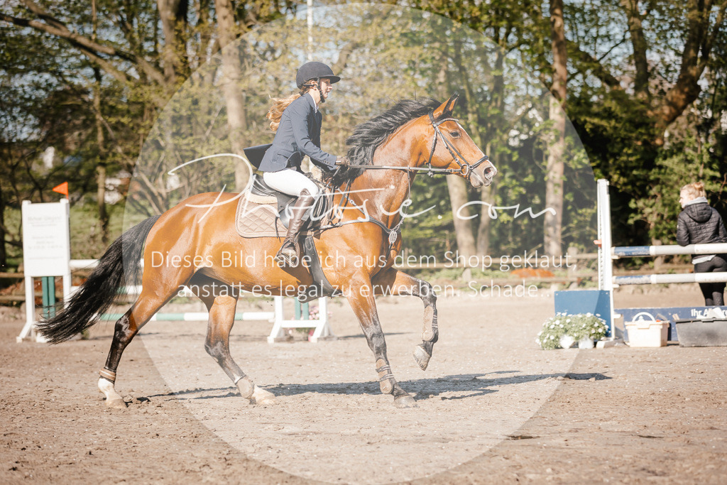3I6A3748 | Stimmungsvolle Portraits und Reitsportfotografie im Ruhrgebiet und im Münsterland.

Pferdefotografie, Hundefotografie, Tierfotografie, Reportagen, Portraits von Tier und Mensch, Turnierfotografie in Bochum, Recklinghausen, Marl, Haltern am See, Dülmen.. - Realisiert mit Pictrs.com