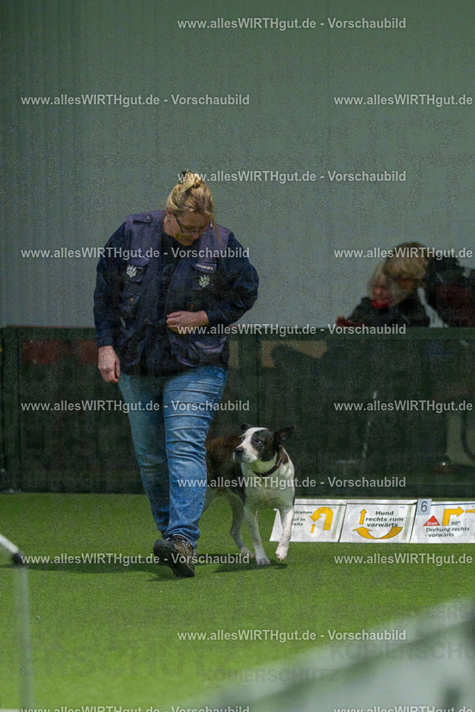 7R504717 | Professionelle Tierfotografie in Mönchengladbach von Daniel Wirth (allesWIRTHgut). Liebevolle & natürliche Bilder von Hunden & Katzen für unvergessliche Erinnerungen.