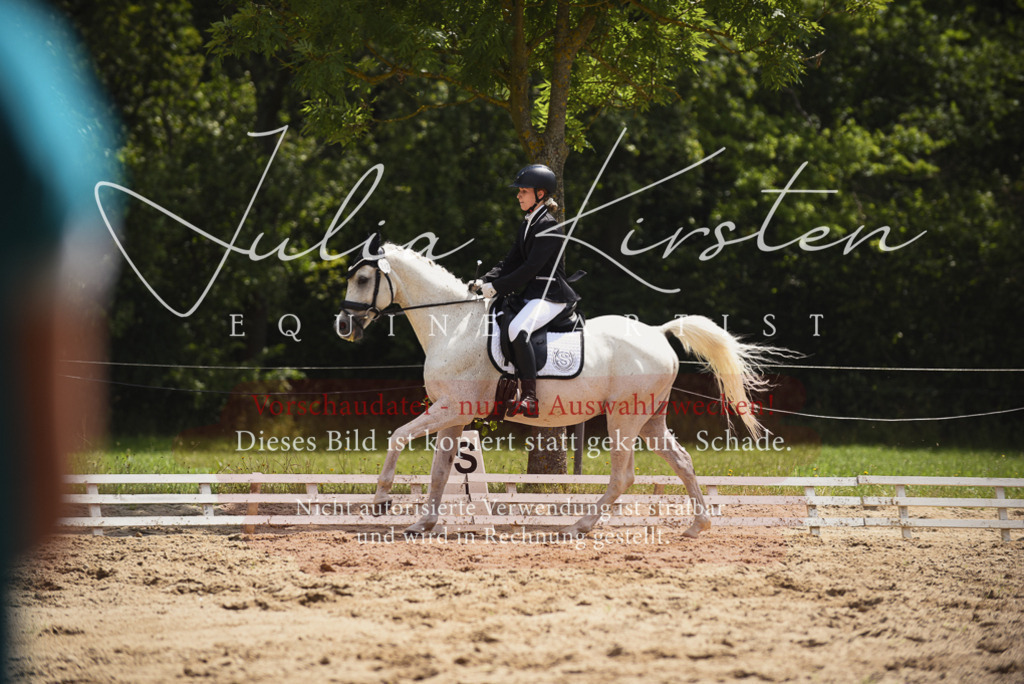 DSC_1137 | Pferde- und Turnierfotografie in Westsachsen. Pferdeportraits, Auftragszeichnungen und intuitive Kunst.