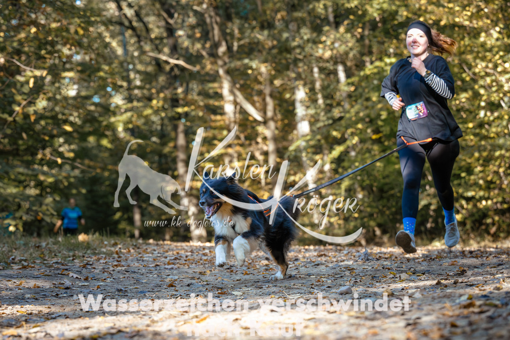 1134_ZZ92753 | kk-dogfotos