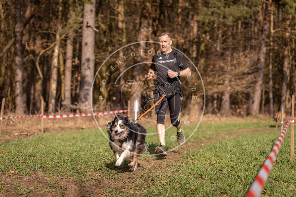 DV3A6410 | Hundefotografie, Tierfotograf, Pfotenfotografie, Fotoshooting Hund, Hunde Portrait, Hundesport, Hundeportraits, Heideshooting, Hunde, Sportfotograf, Hundefotograf, Turnierhundsport, THS,  - Realisiert mit Pictrs.com