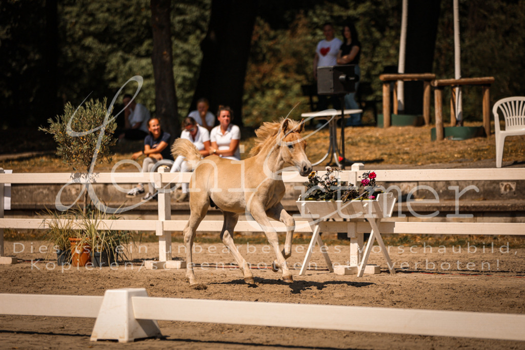 06.DoH00078 | Leoni Ertmer Photography - Realisiert mit Pictrs.com