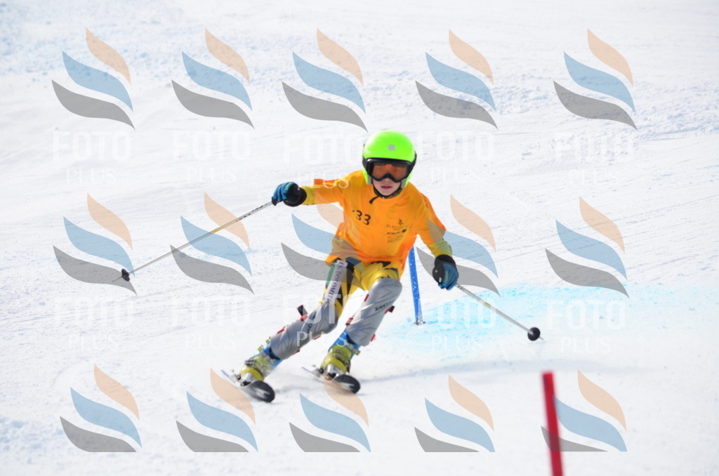 C8327 | holidayphoto