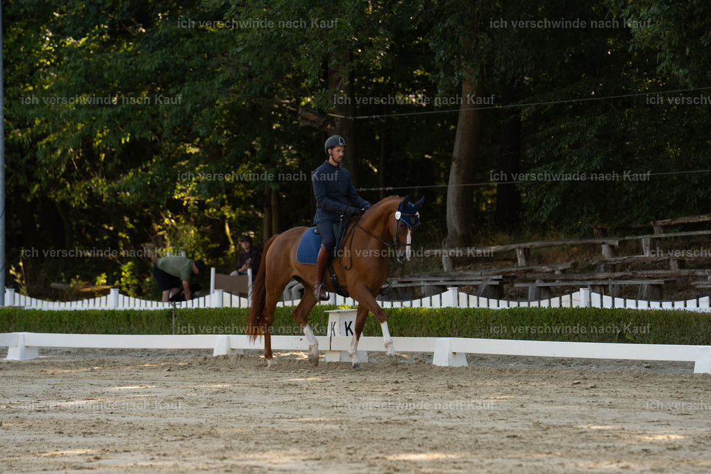 WA_DR_7_SinaFilmArt_IN01002 | working equitationturnier fotograf videograf stoibphotography marixx film working equitation deutschland reitsport turnierfotografie eventfotografie equestrian events