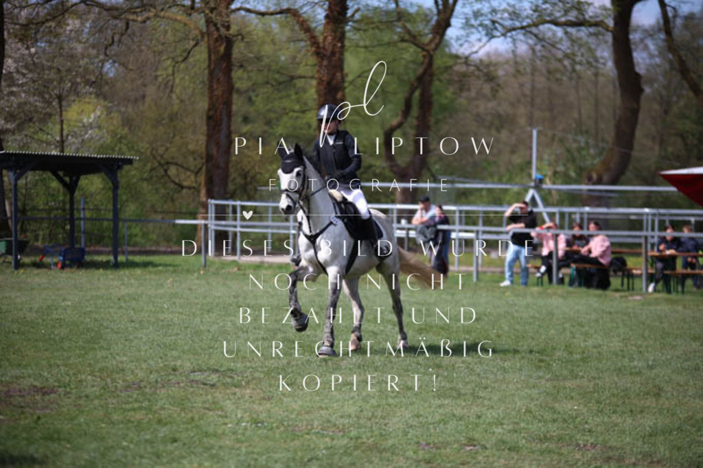 IMGT5452 | pl-fotografie