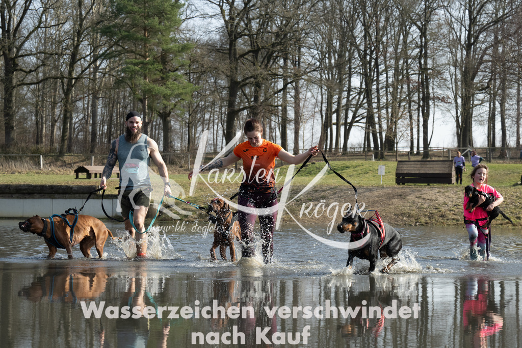 1337_ZZ97513 | kk-dogfotos