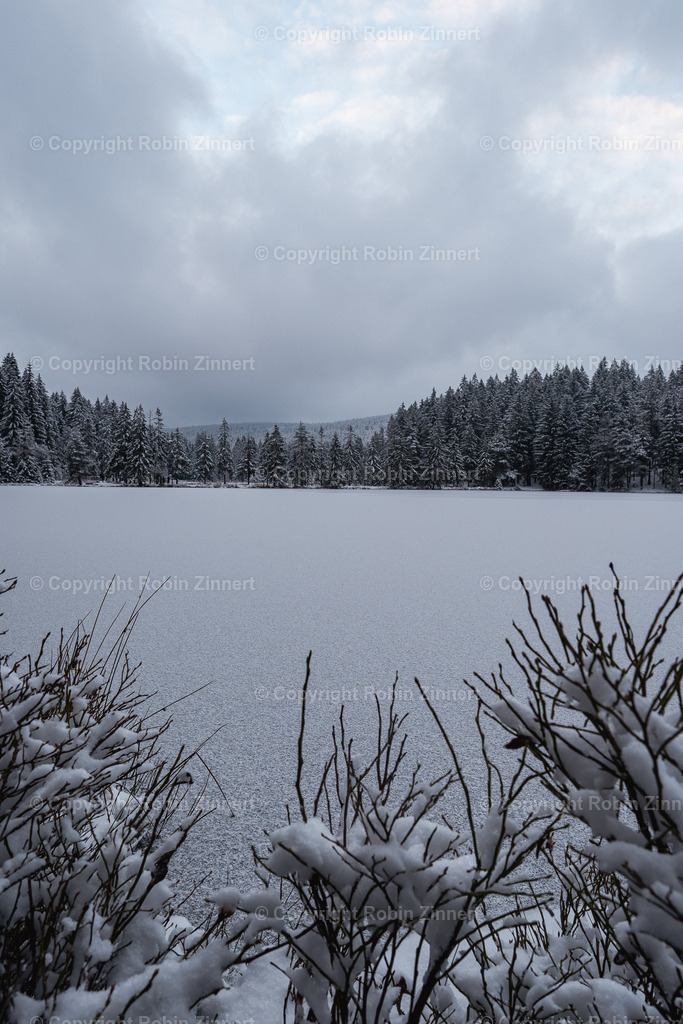 Fichtelsee_Winter00014 | Robin Zinnert - Realisiert mit Pictrs.com