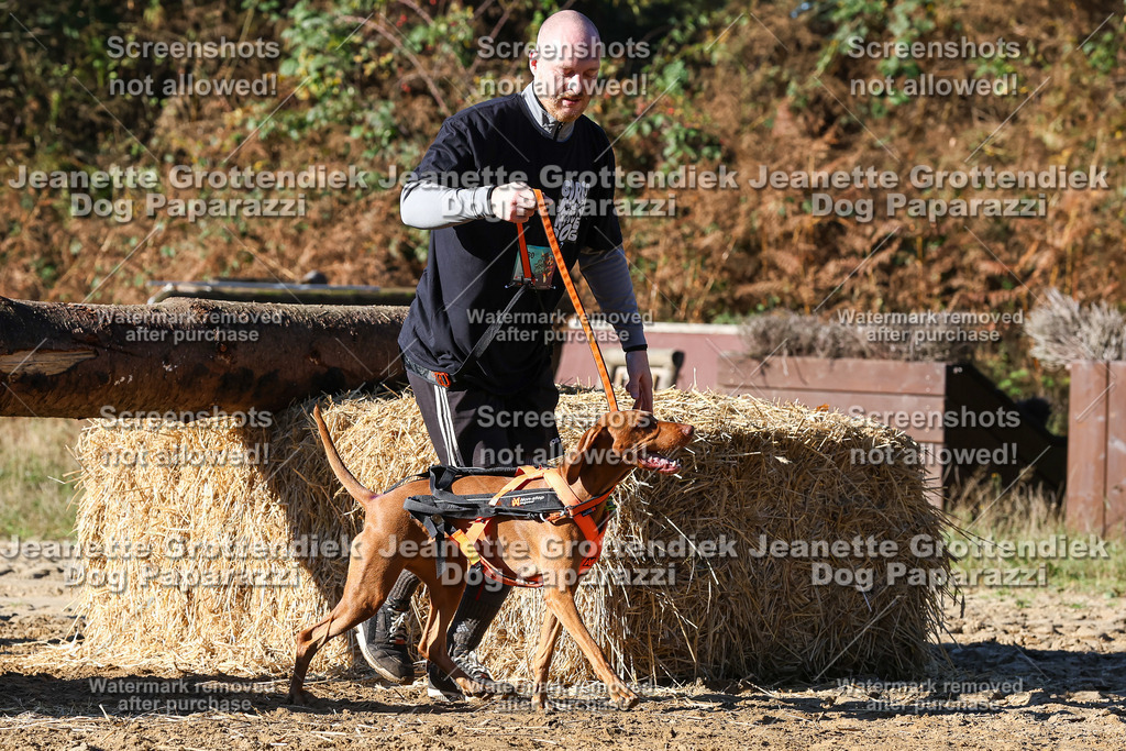 Dog Paparazzi - Strongdog 10-25-2139 | Dog Paparazzi Jeanette Grottendiek Fotografie & Videografie - Realisiert mit Pictrs.com