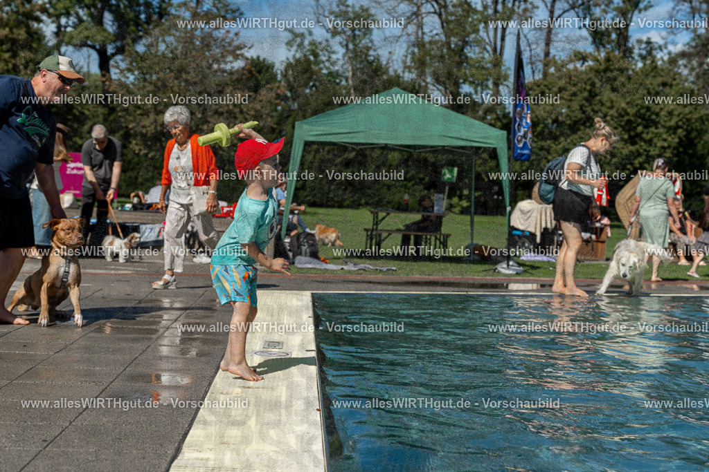 Hundeschwimmen_Volksbad_2026-allesWIRTHgut_Tierfotografie-2609061255-120551-7R500310 | Professionelle Tierfotografie in Mönchengladbach von Daniel Wirth (allesWIRTHgut). Liebevolle & natürliche Bilder von Hunden & Katzen für unvergessliche Erinnerungen.