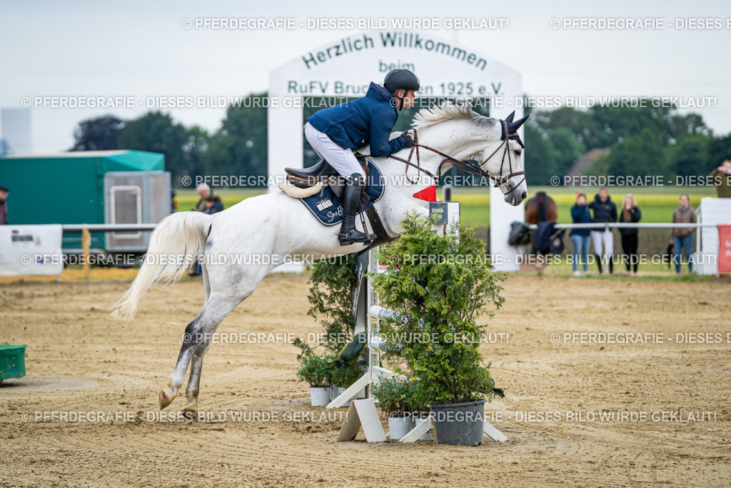 DSC05877 | Pferdegrafie