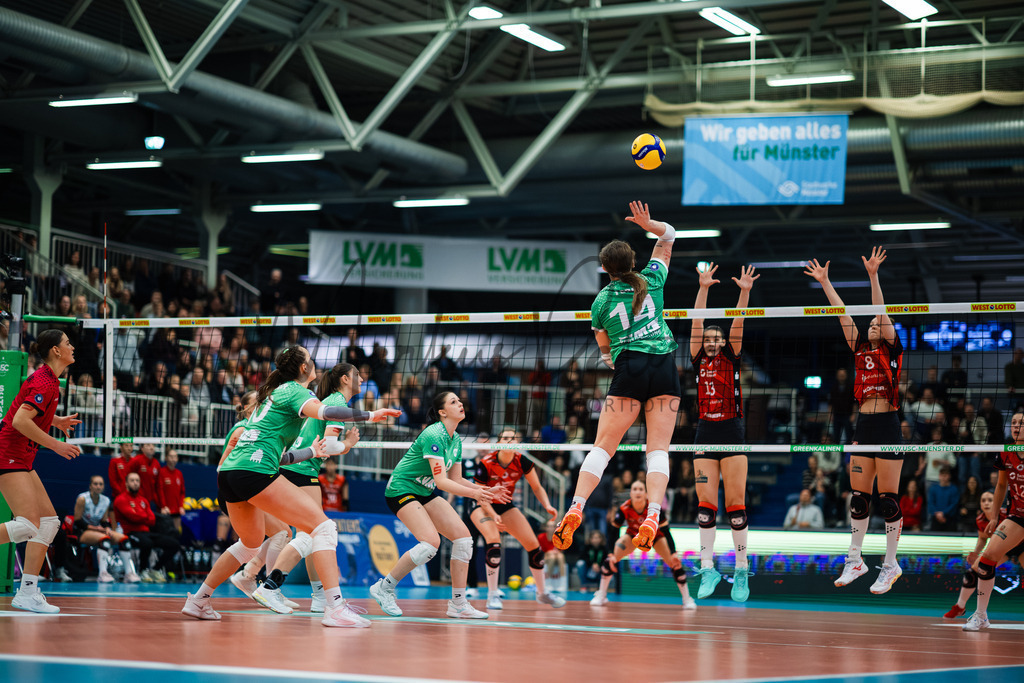 Volleyball, 1. Bundesliga Frauen, Hauptrunde, 8. Spieltag, Saison 2025/2026: USC Münster - Dresdner SC | 1. Bundesliga Frauen, Hauptrunde, 8. Spieltag, Saison 2025/2026, USC Münster empfängt Dresdner SC in der Sporthalle Berg Fidel in Münster. Foto: sportfotografie.ms | Markus Paletta - Realisiert mit Pictrs.com