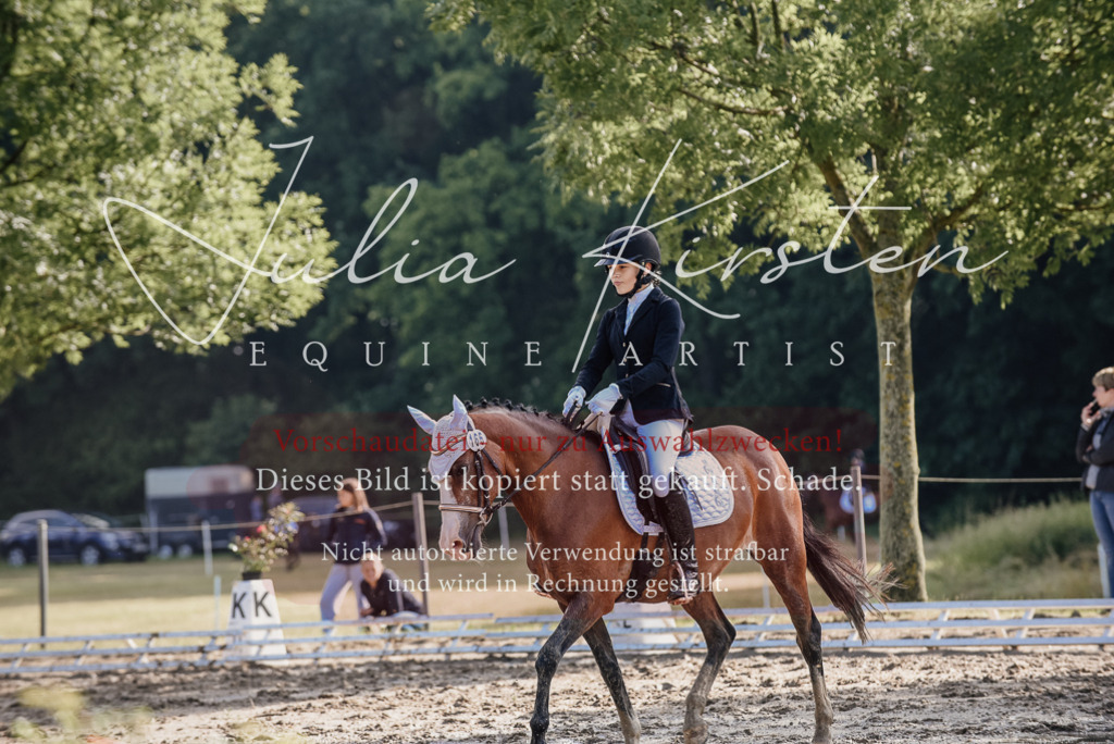 DSC_7887 | Pferde- und Turnierfotografie in Westsachsen. Pferdeportraits, Auftragszeichnungen und intuitive Kunst.