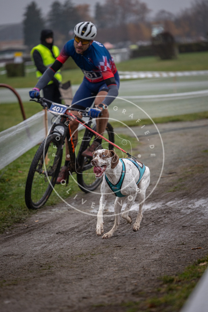 CaniXpix_0L8A0984 | Hundefotografie, Tierfotograf, Pfotenfotografie, Fotoshooting Hund, Hunde Portrait, Hundesport, Hundeportraits, Heideshooting, Hunde, Sportfotograf, Hundefotograf, Turnierhundsport, THS,  - Realisiert mit Pictrs.com