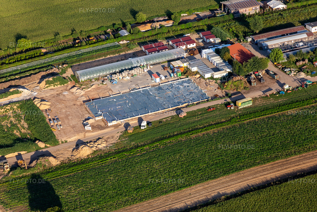 Luftbild: Kugelmann Biogemüse Neubau der Produktionshalle in Kandel im Bundesland Rheinland-Pfalz in Deutschland. Foto: IMG_122260.jpg vom 15.08.2020 durch Werner Riehm/FLY-FOTO.de