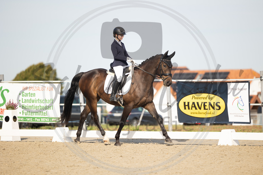 994A1516 | sabrinanicolaifotografie - Realisiert mit Pictrs.com