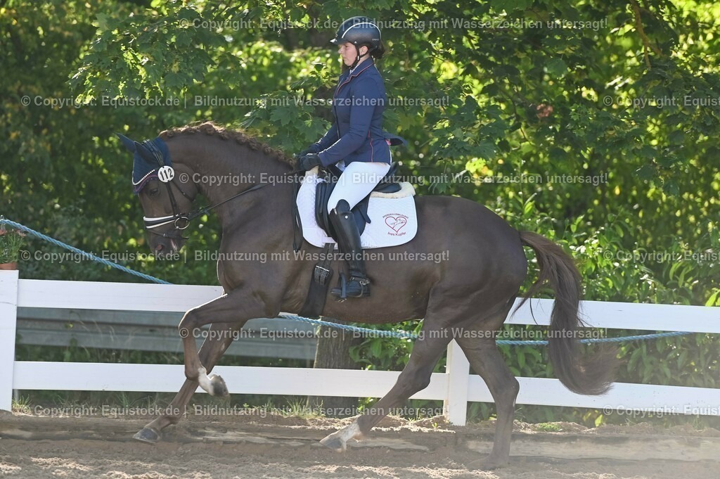 20230715_06_Dressurpferdeprfg. Kl.A_0157 | equistock