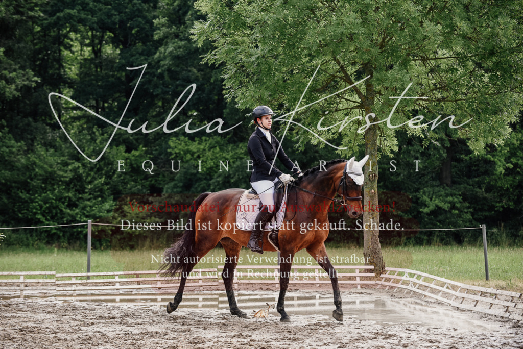 DSC_9844 | Pferde- und Turnierfotografie in Westsachsen. Pferdeportraits, Auftragszeichnungen und intuitive Kunst.