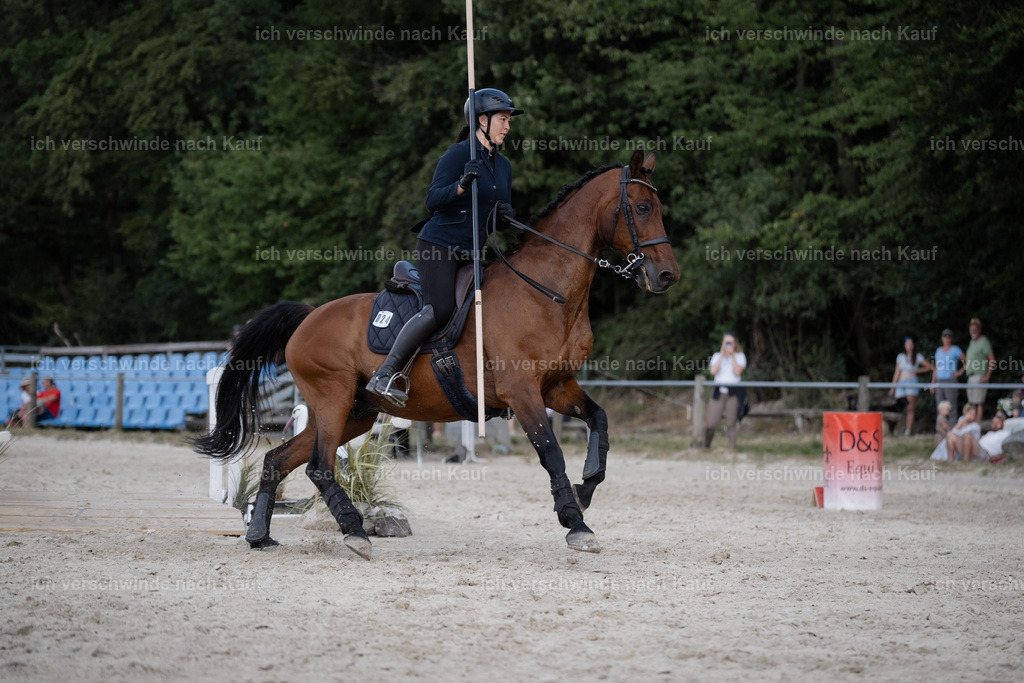 WS_SP_24_Stoibphotography_SO11440 | working equitationturnier fotograf videograf stoibphotography marixx film working equitation deutschland reitsport turnierfotografie eventfotografie equestrian events
