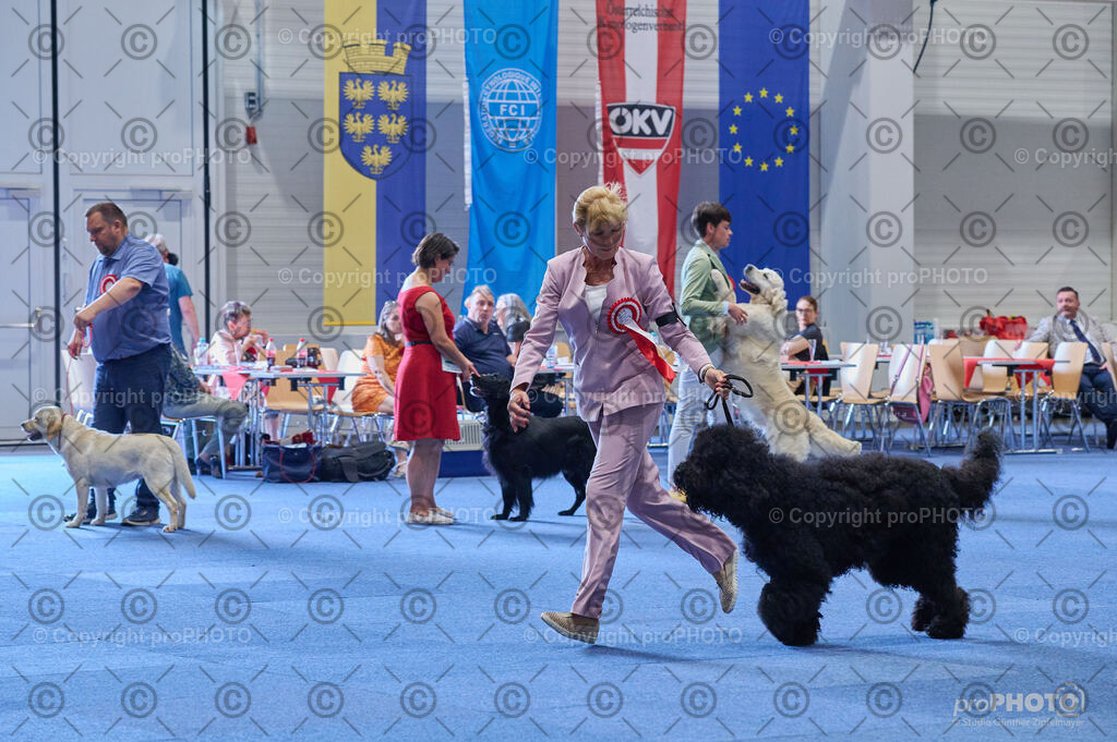 202406_ÖKV-IHA-Tulln24_DSC_5117 | proPHOTO - Realisiert mit Pictrs.com