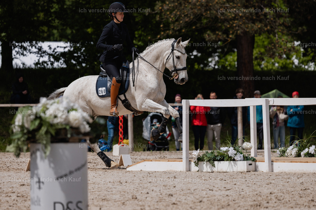 PI26_SP_StoibphotographyC2_C3107.CR3 | working equitationturnier fotograf videograf stoibphotography marixx film working equitation deutschland reitsport turnierfotografie eventfotografie equestrian events