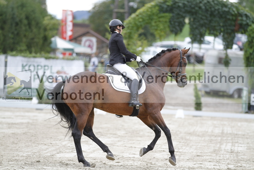 _MG_8987 | equestrian-live-com